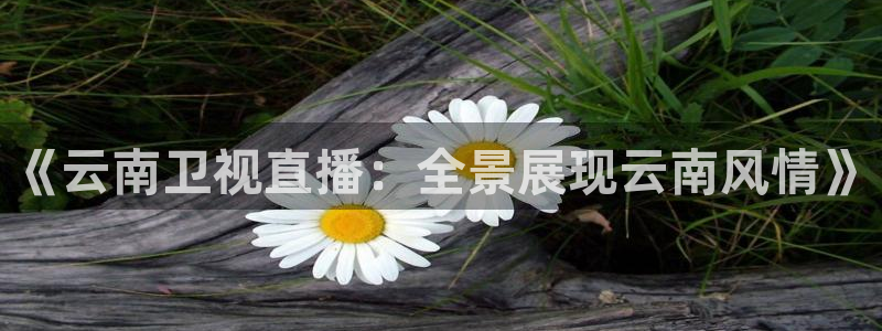 360免费直播超清 看球吧：《云南卫视直播：全景展现云南风情》