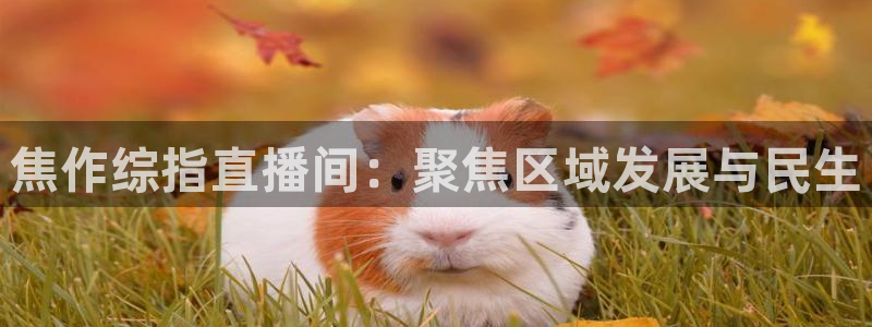 看球吧下载：焦作综指直播间：聚焦区域发展与民生
