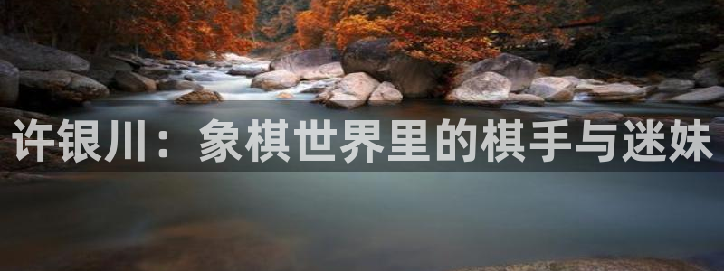 看球吧体育直播：许银川：象棋世界里的棋手与迷妹