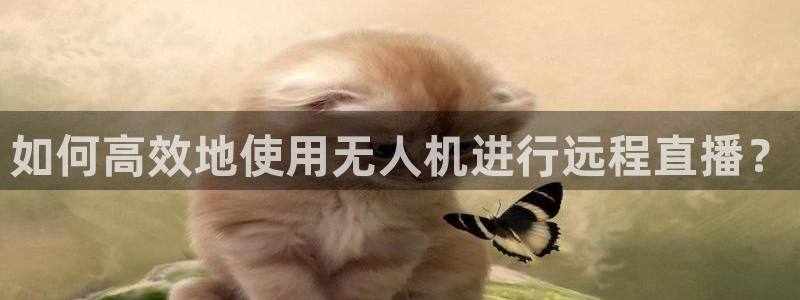 看球吧体育直播平台：如何高效地使用无人机进行远程直播？