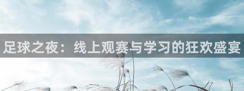 看球吧在线观看：足球之夜：线上观赛与学习的狂欢盛宴