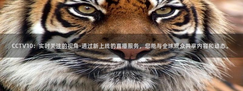 88直播看球吧：CCTV10：实时关注的视角-通过新上线的直播服务，您能与全球观众共享内容和动态。