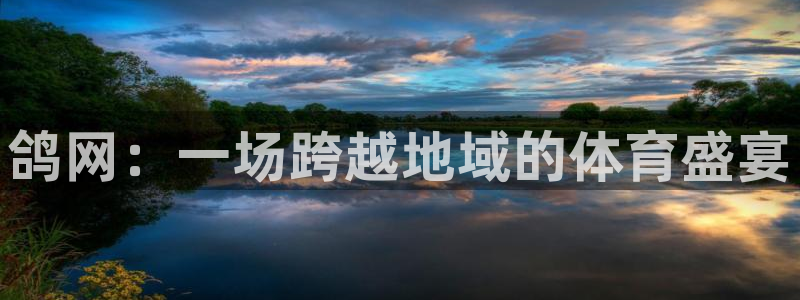 看球吧直播官网：鸽网：一场跨越地域的体育盛宴