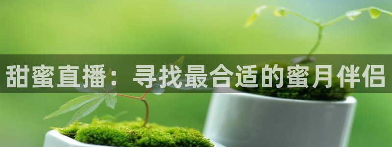 看球吧足球直播：甜蜜直播：寻找最合适的蜜月伴侣